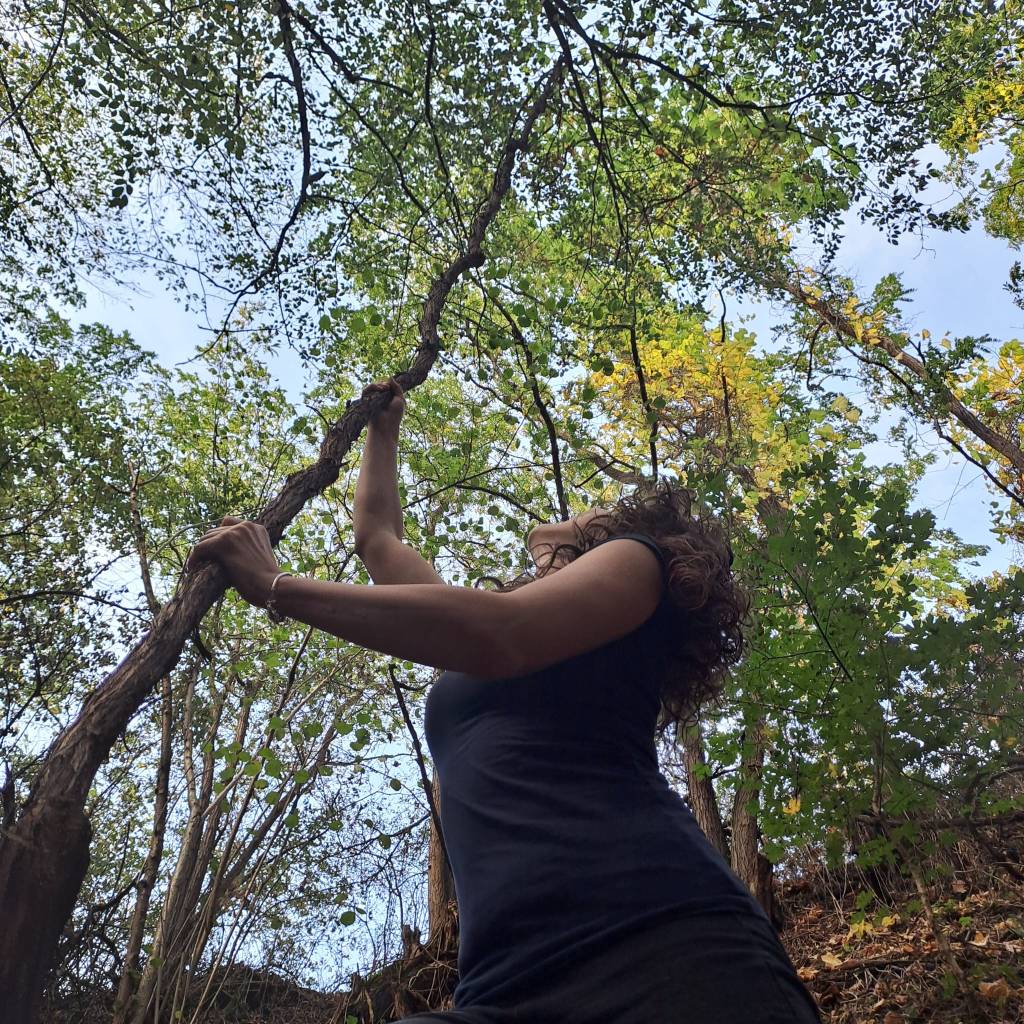 My thoughts as a forest&nbsp;person