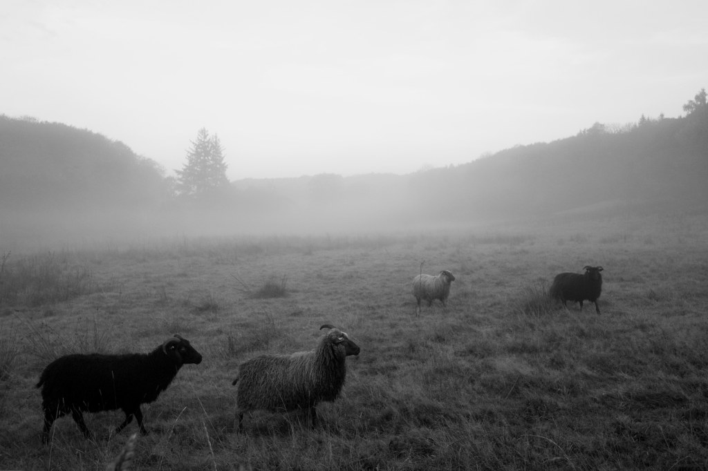 The race to the present&nbsp;moment