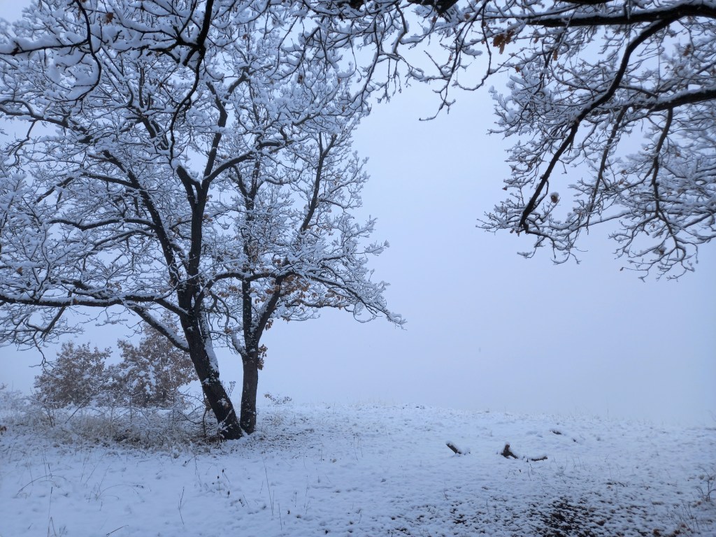 Why I love the nighttime&nbsp;lights