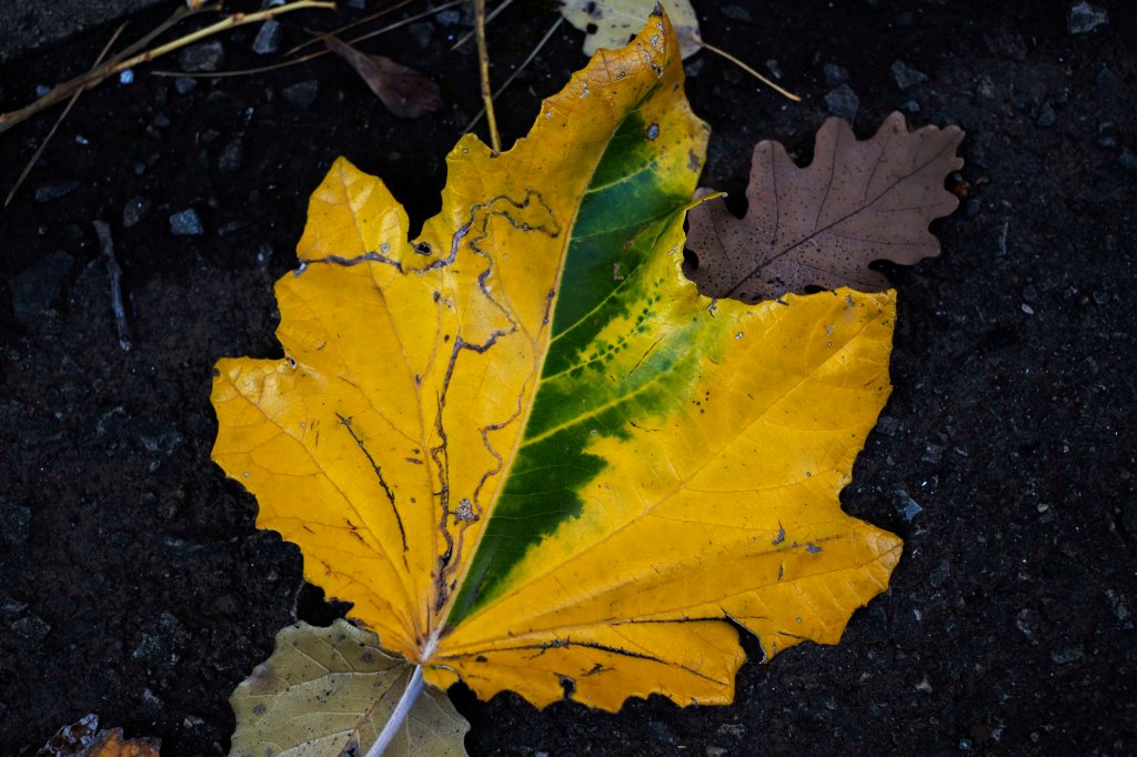 We need a change in&nbsp;education