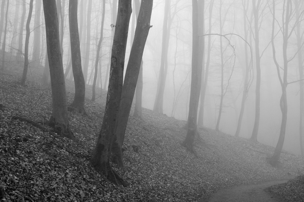 The path to your&nbsp;soul