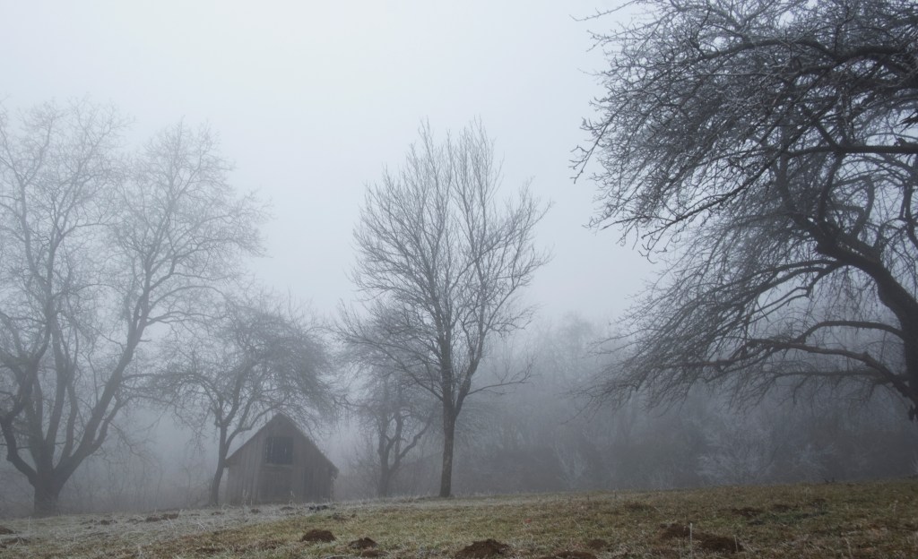 Confronting Mortality: The Key to a Meaningful&nbsp;Life