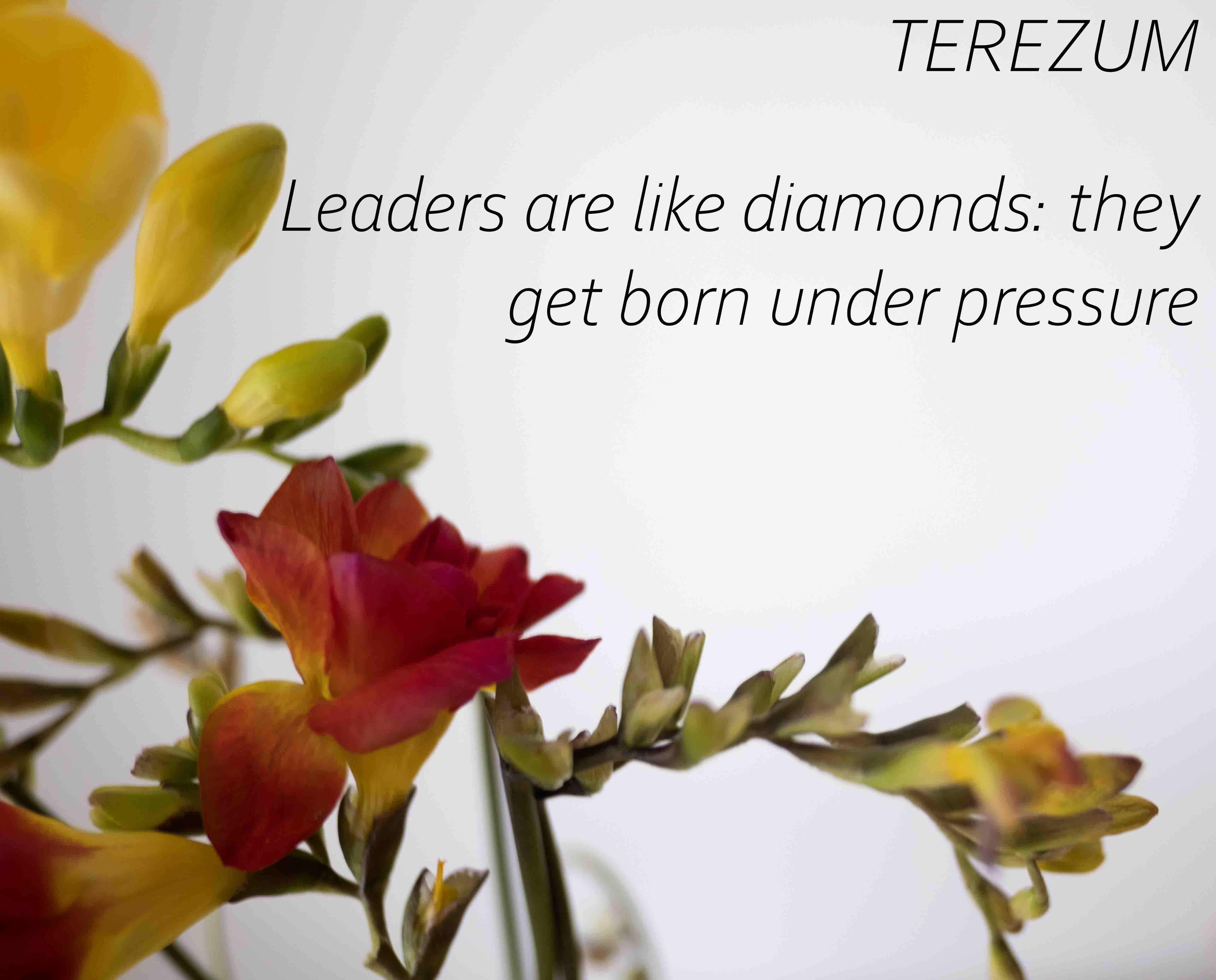 Diamonds Are Forged in Adversity: The Leadership Journey