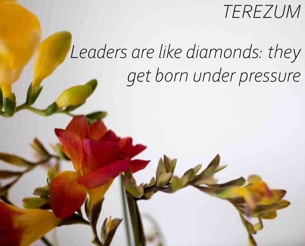 Diamonds Are Forged in Adversity: The Leadership&nbsp;Journey