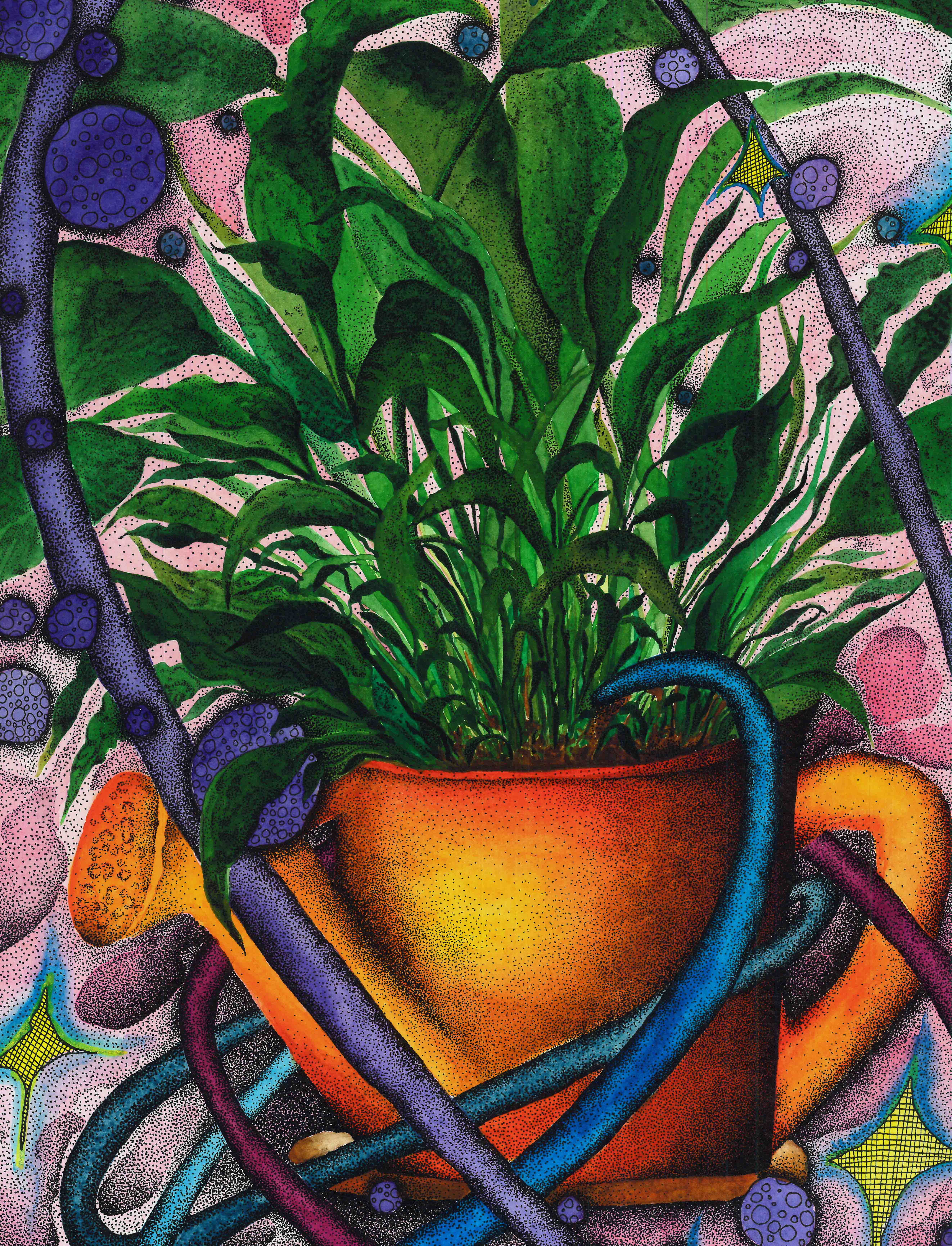 Watercolour art: the cosmic peace lily.