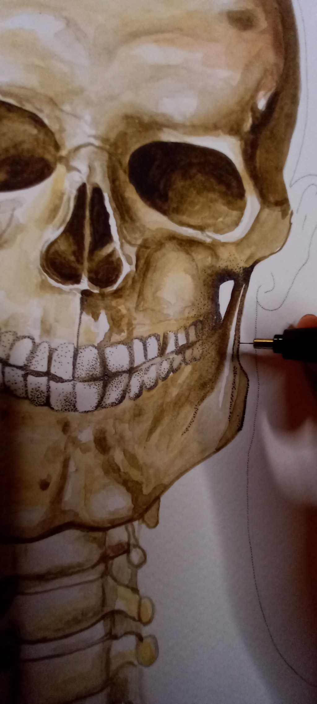 My art: reflections on anatomy